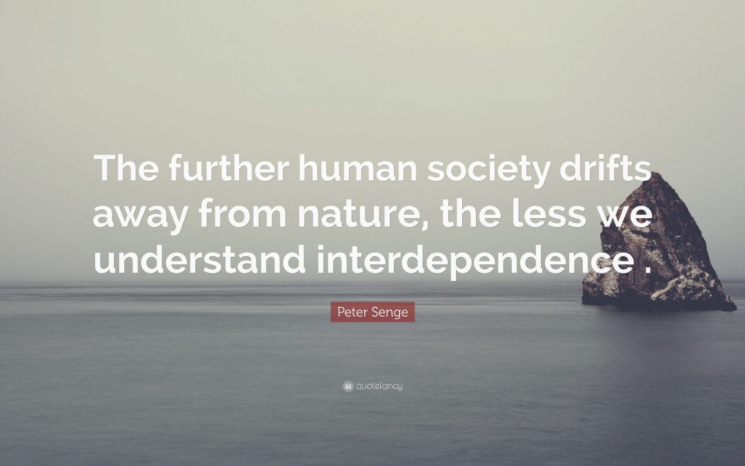 Challenges Facing the Adoption of the Hopeful (Interdependent) Mindset