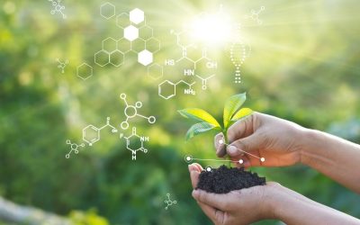 Can Science Tell Us How We Should Live?