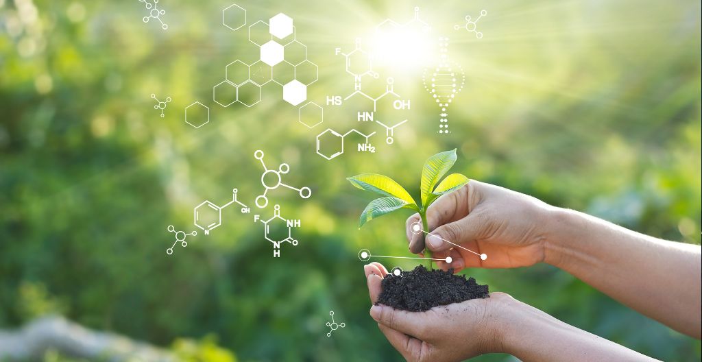 Can Science Tell Us How We Should Live?